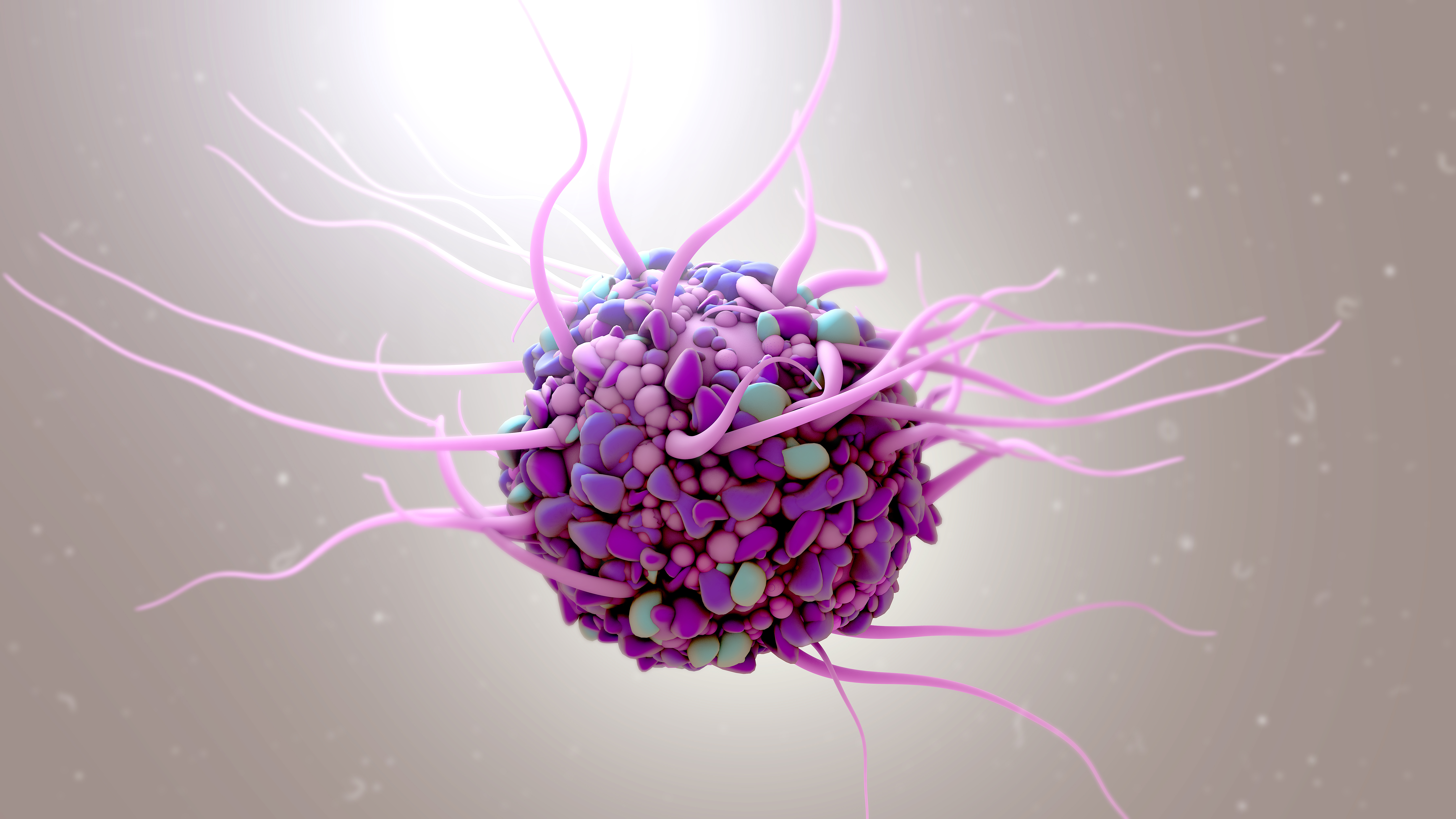 Dendritic cell Dendritic cell.